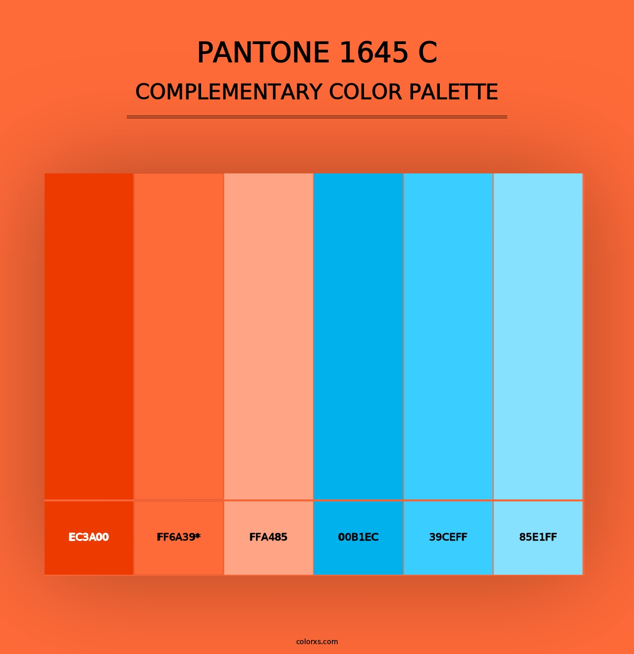 PANTONE 1645 C - Complementary Color Palette