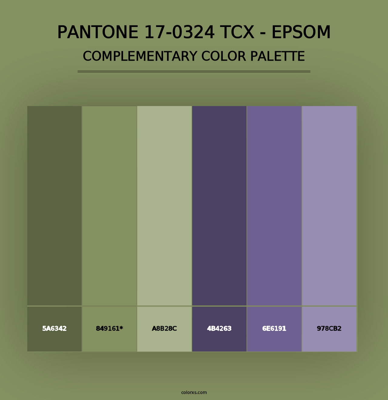 PANTONE 17-0324 TCX - Epsom - Complementary Color Palette