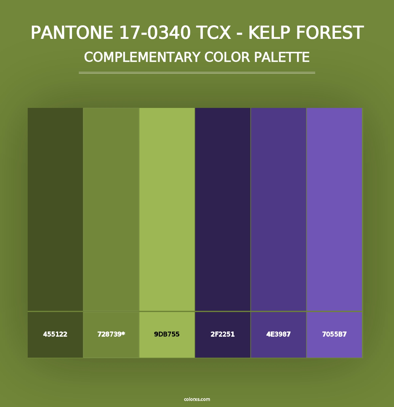 PANTONE 17-0340 TCX - Kelp Forest - Complementary Color Palette