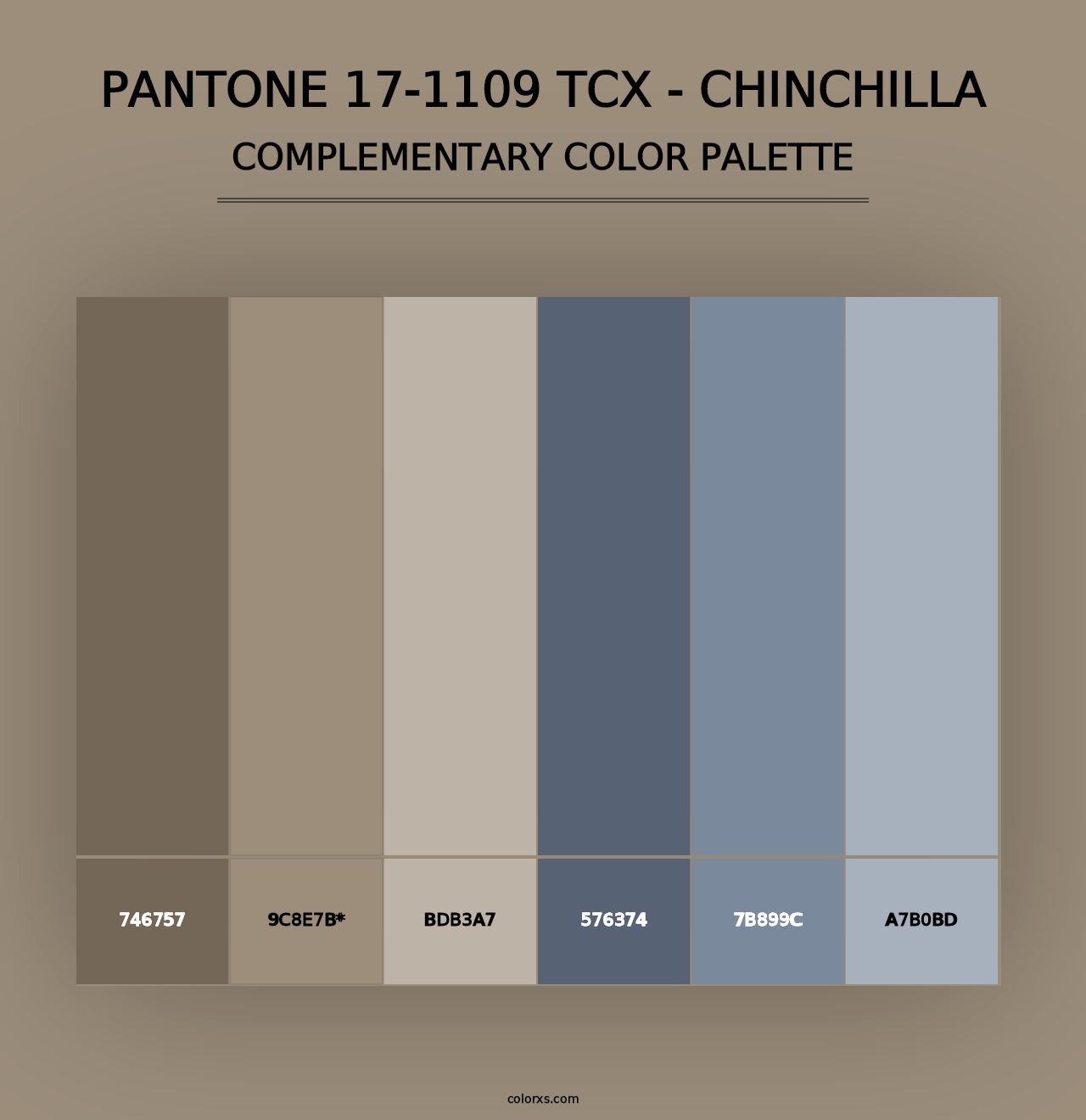 PANTONE 17-1109 TCX - Chinchilla - Complementary Color Palette