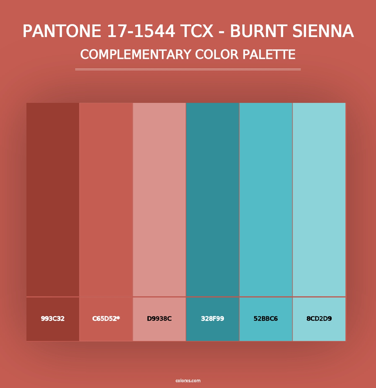 PANTONE 17-1544 TCX - Burnt Sienna - Complementary Color Palette