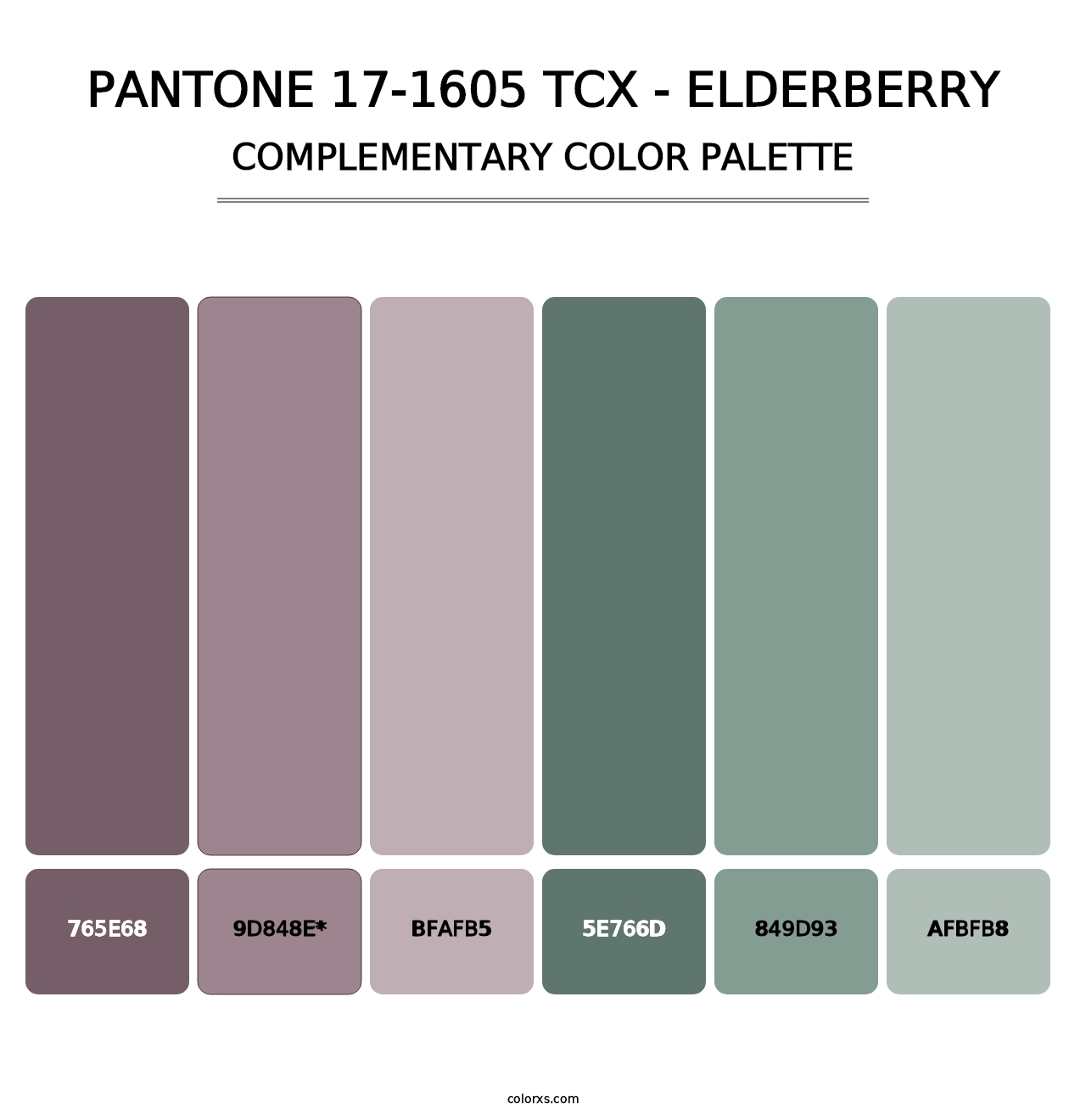 PANTONE 17-1605 TCX - Elderberry - Complementary Color Palette