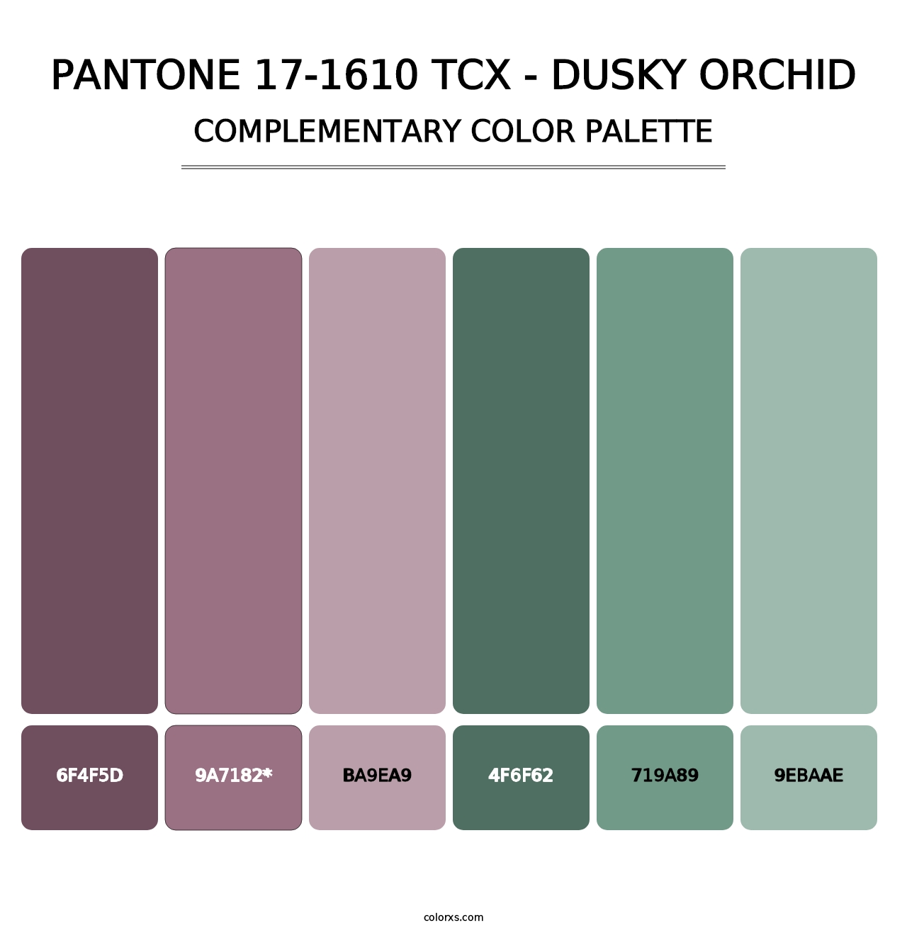 PANTONE 17-1610 TCX - Dusky Orchid - Complementary Color Palette