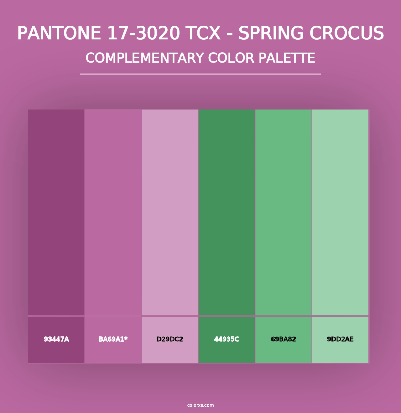 PANTONE 17-3020 TCX - Spring Crocus - Complementary Color Palette