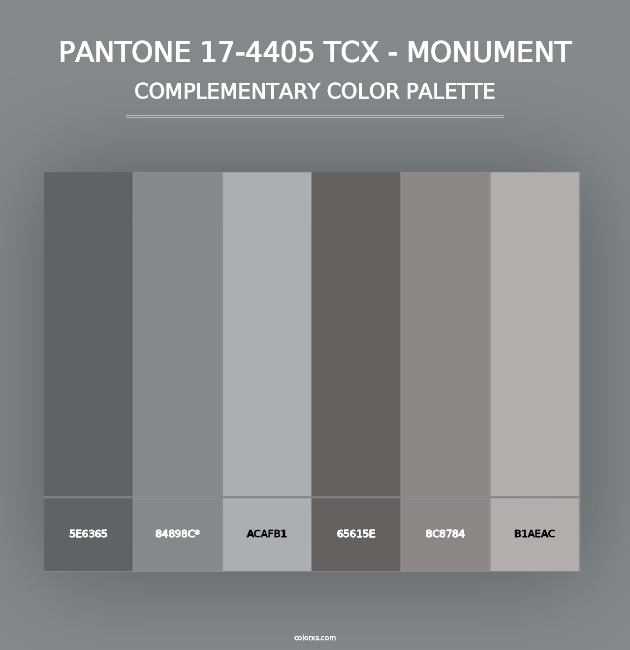 PANTONE 17-4405 TCX - Monument - Complementary Color Palette