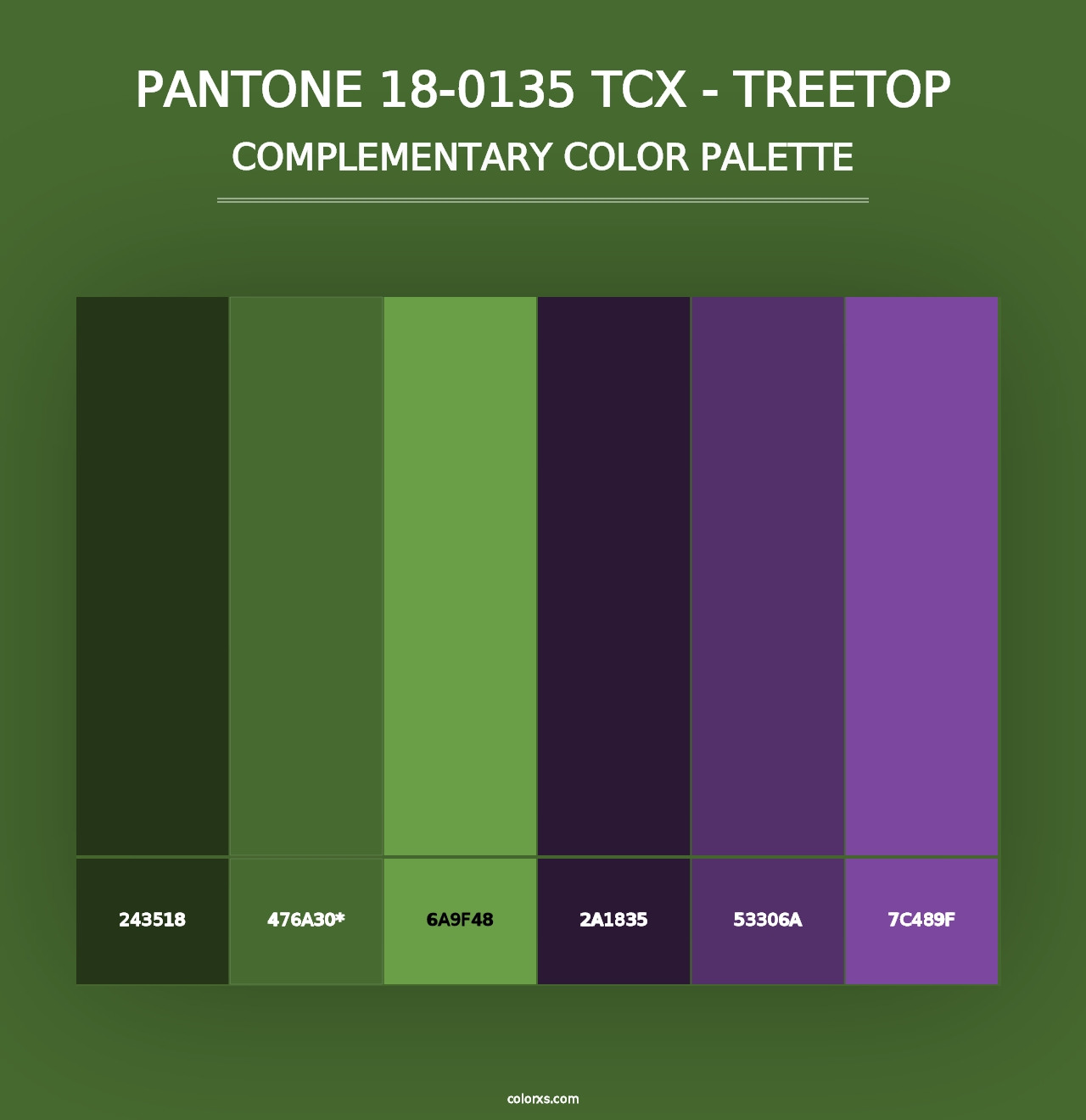 PANTONE 18-0135 TCX - Treetop - Complementary Color Palette