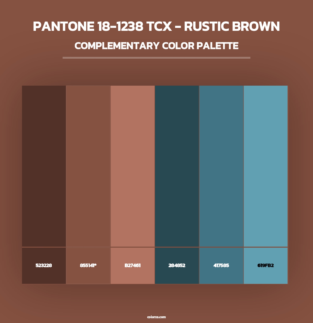 PANTONE 18-1238 TCX - Rustic Brown - Complementary Color Palette