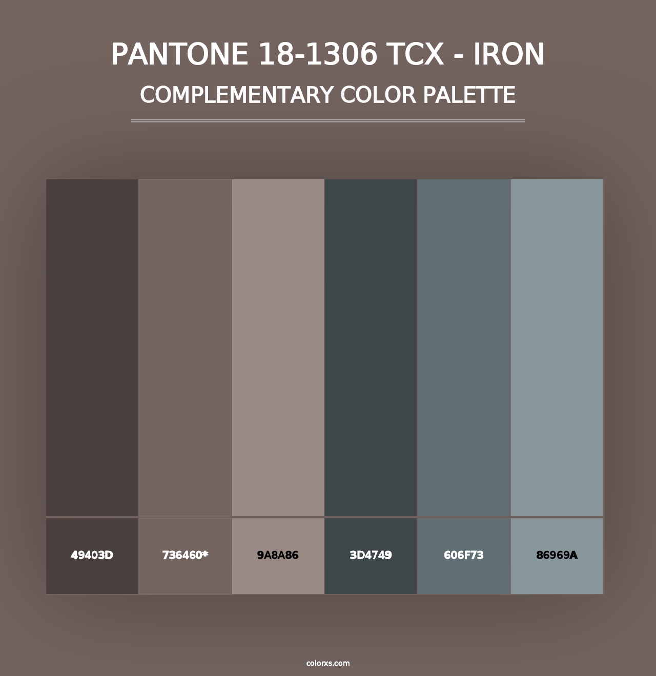 PANTONE 18-1306 TCX - Iron - Complementary Color Palette