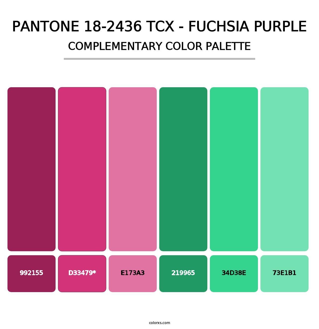 PANTONE 18-2436 TCX - Fuchsia Purple - Complementary Color Palette