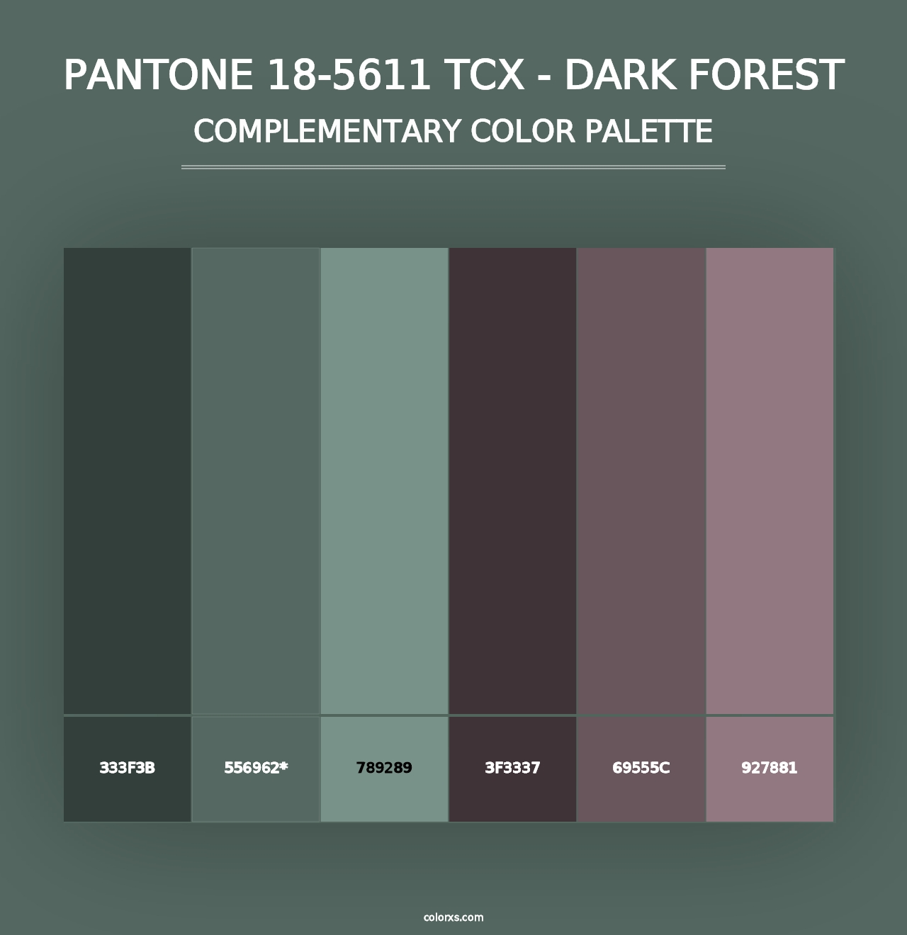 PANTONE 18-5611 TCX - Dark Forest - Complementary Color Palette