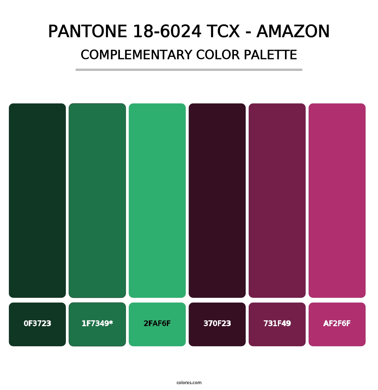 PANTONE 18-6024 TCX - Amazon - Complementary Color Palette