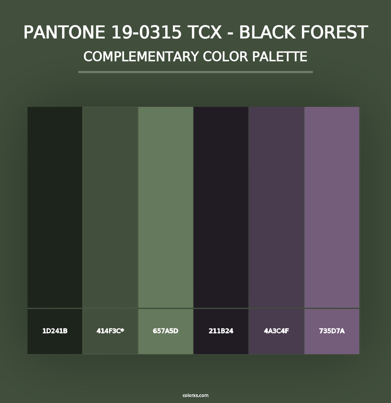 PANTONE 19-0315 TCX - Black Forest - Complementary Color Palette