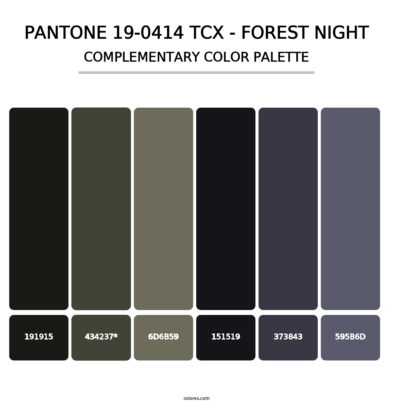 PANTONE 19-0414 TCX - Forest Night - Complementary Color Palette