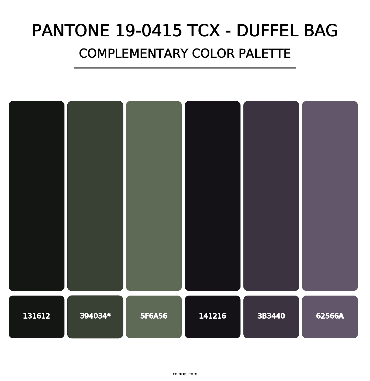 PANTONE 19-0415 TCX - Duffel Bag - Complementary Color Palette