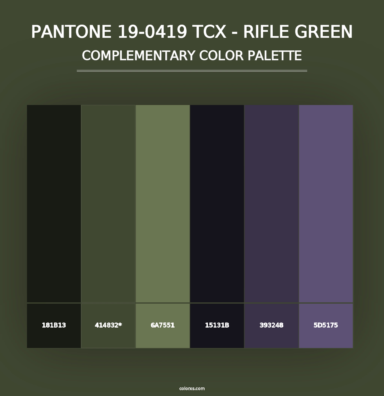 PANTONE 19-0419 TCX - Rifle Green - Complementary Color Palette