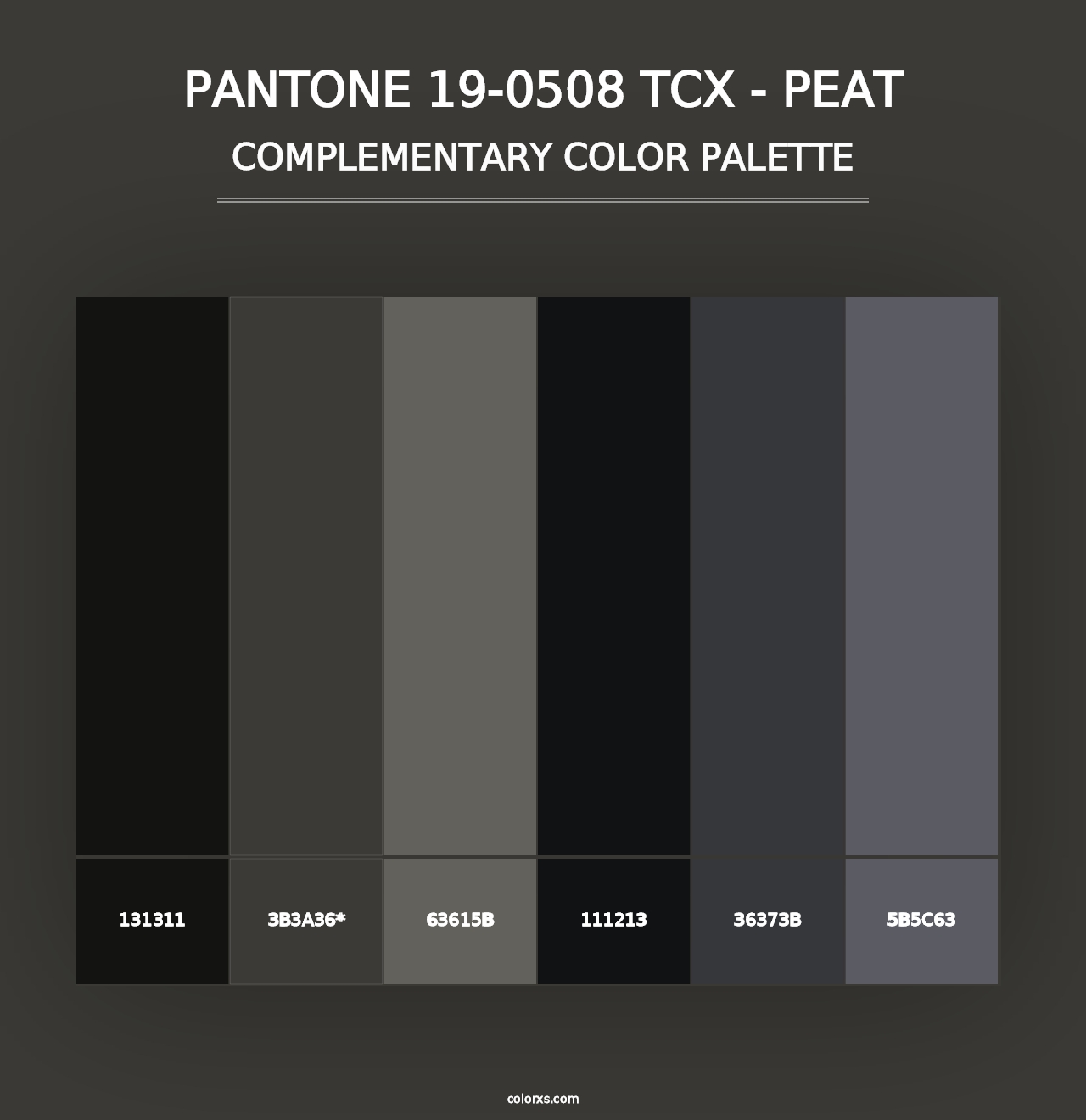 PANTONE 19-0508 TCX - Peat - Complementary Color Palette