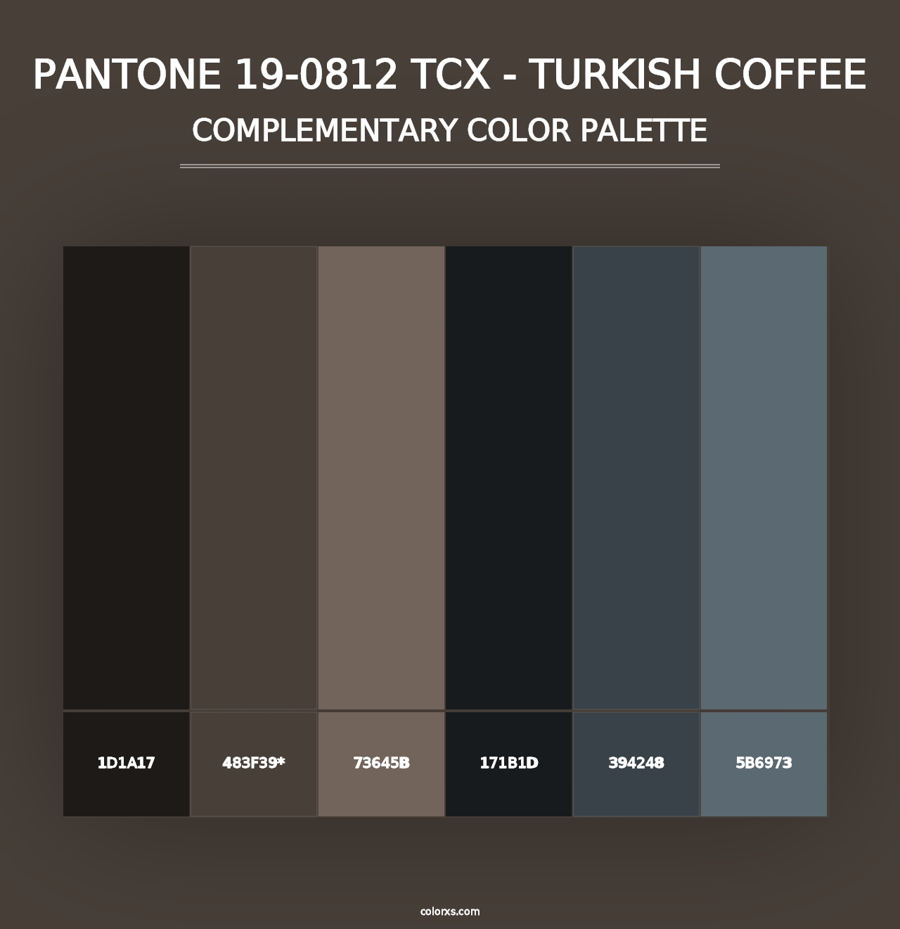 PANTONE 19-0812 TCX - Turkish Coffee - Complementary Color Palette