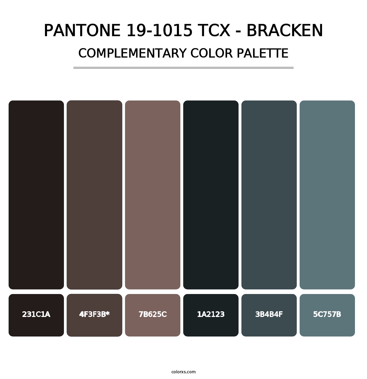 PANTONE 19-1015 TCX - Bracken - Complementary Color Palette