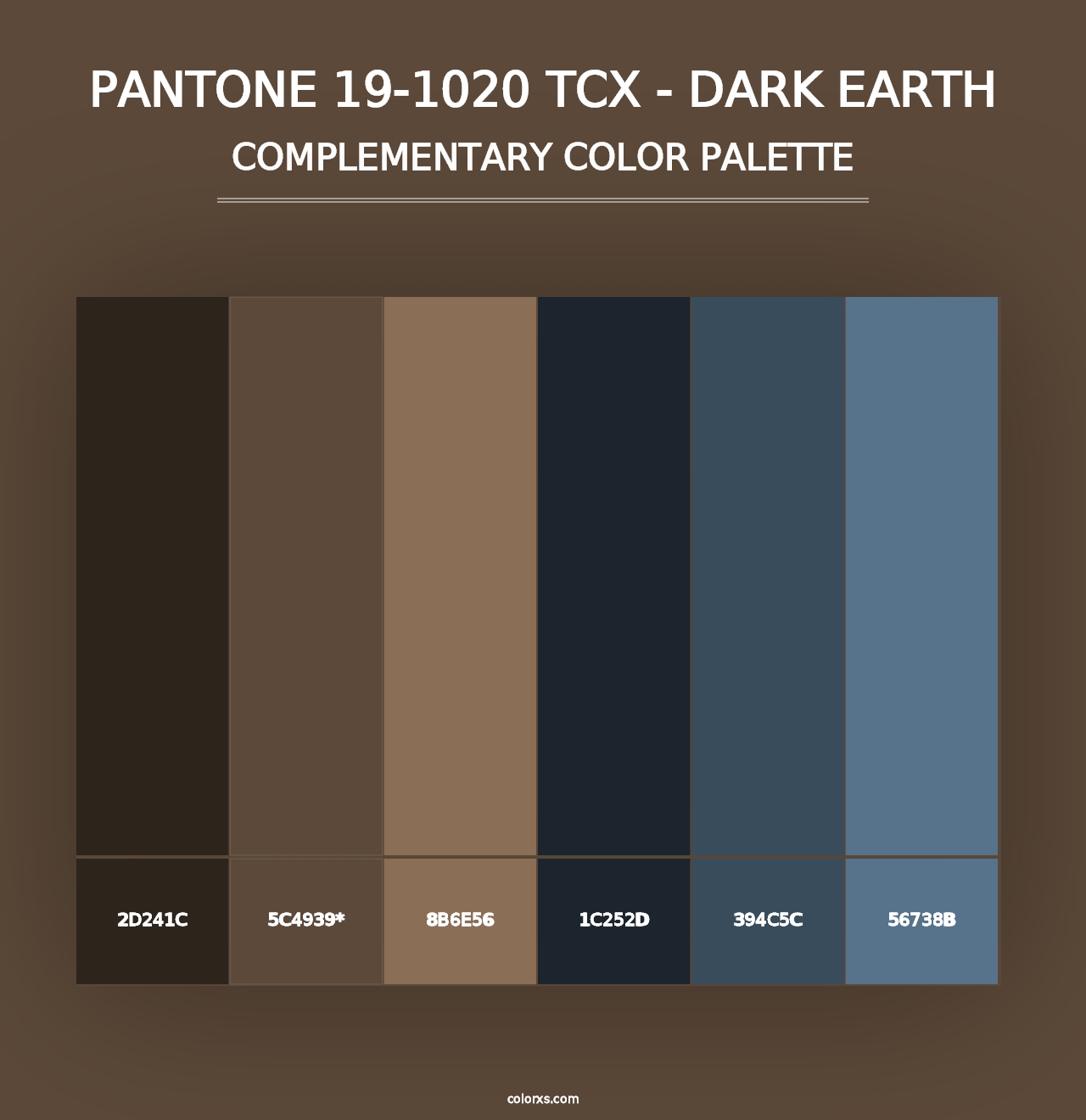 PANTONE 19-1020 TCX - Dark Earth - Complementary Color Palette