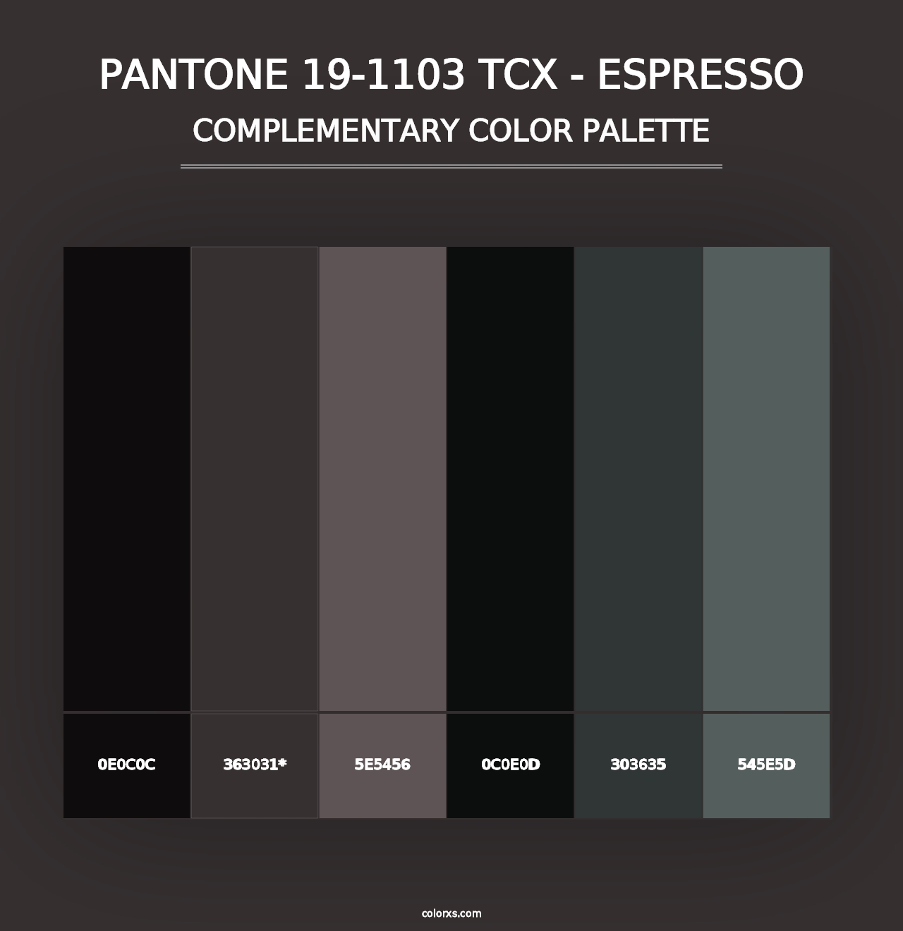 PANTONE 19-1103 TCX - Espresso - Complementary Color Palette