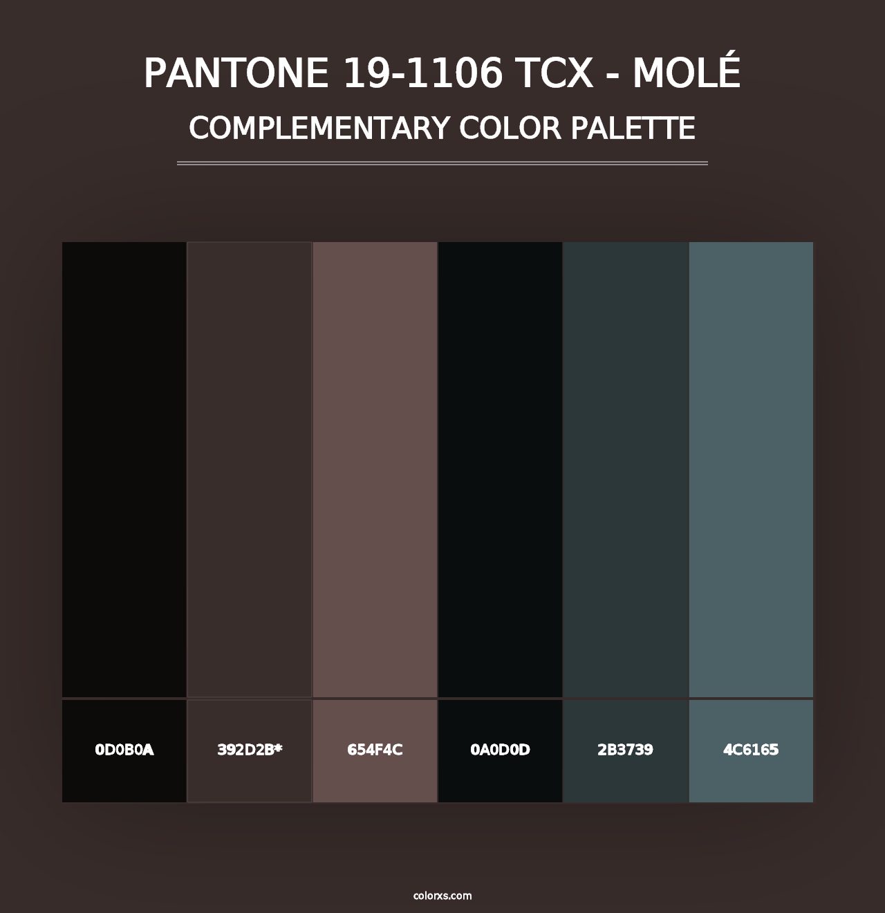 PANTONE 19-1106 TCX - Molé - Complementary Color Palette