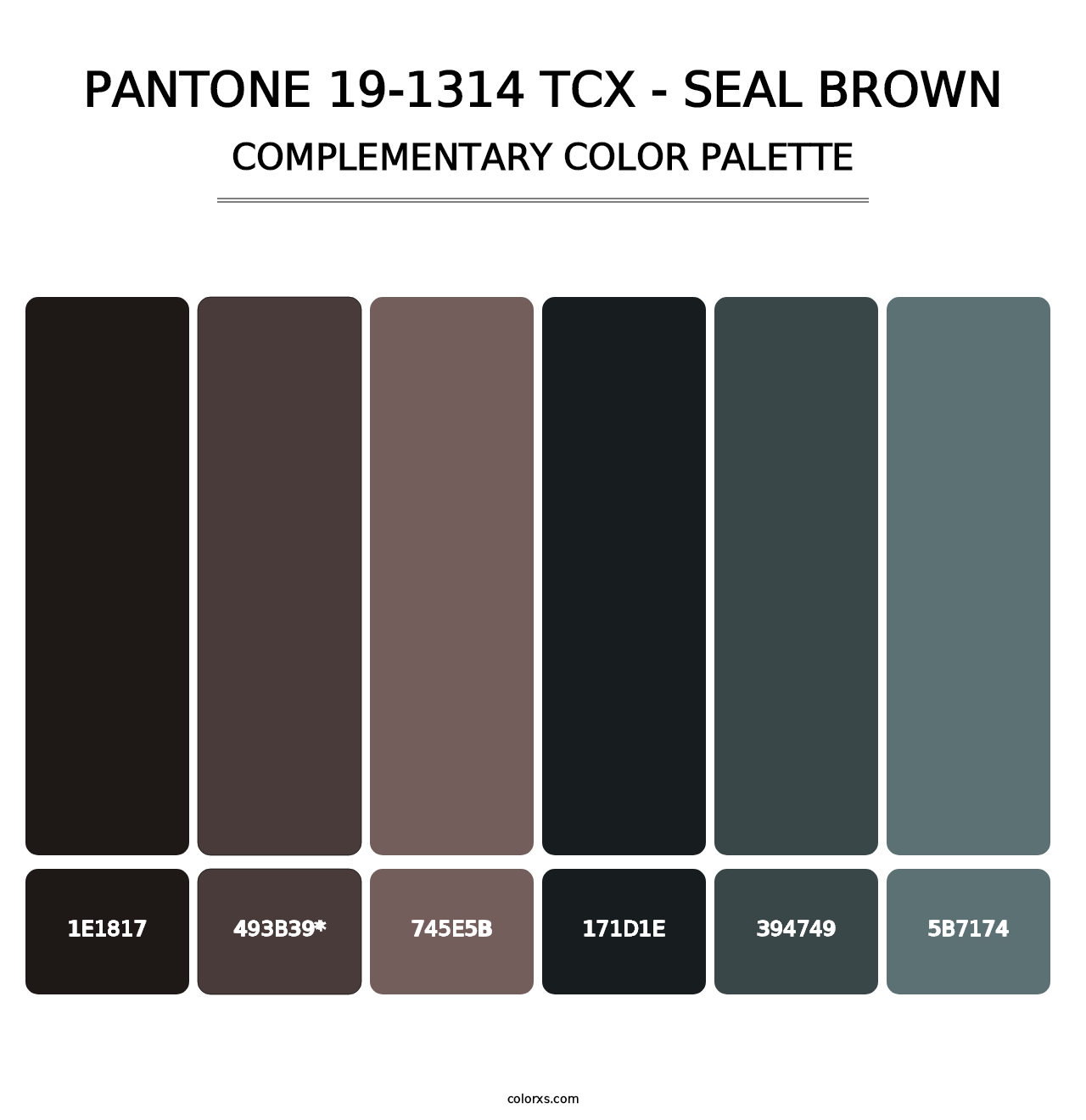 PANTONE 19-1314 TCX - Seal Brown - Complementary Color Palette