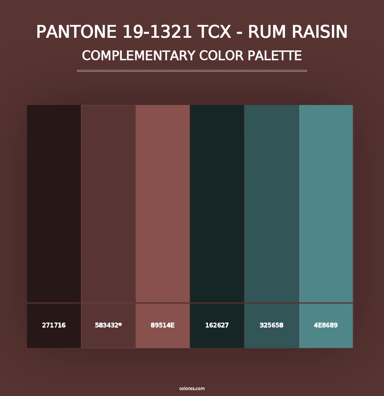 PANTONE 19-1321 TCX - Rum Raisin - Complementary Color Palette