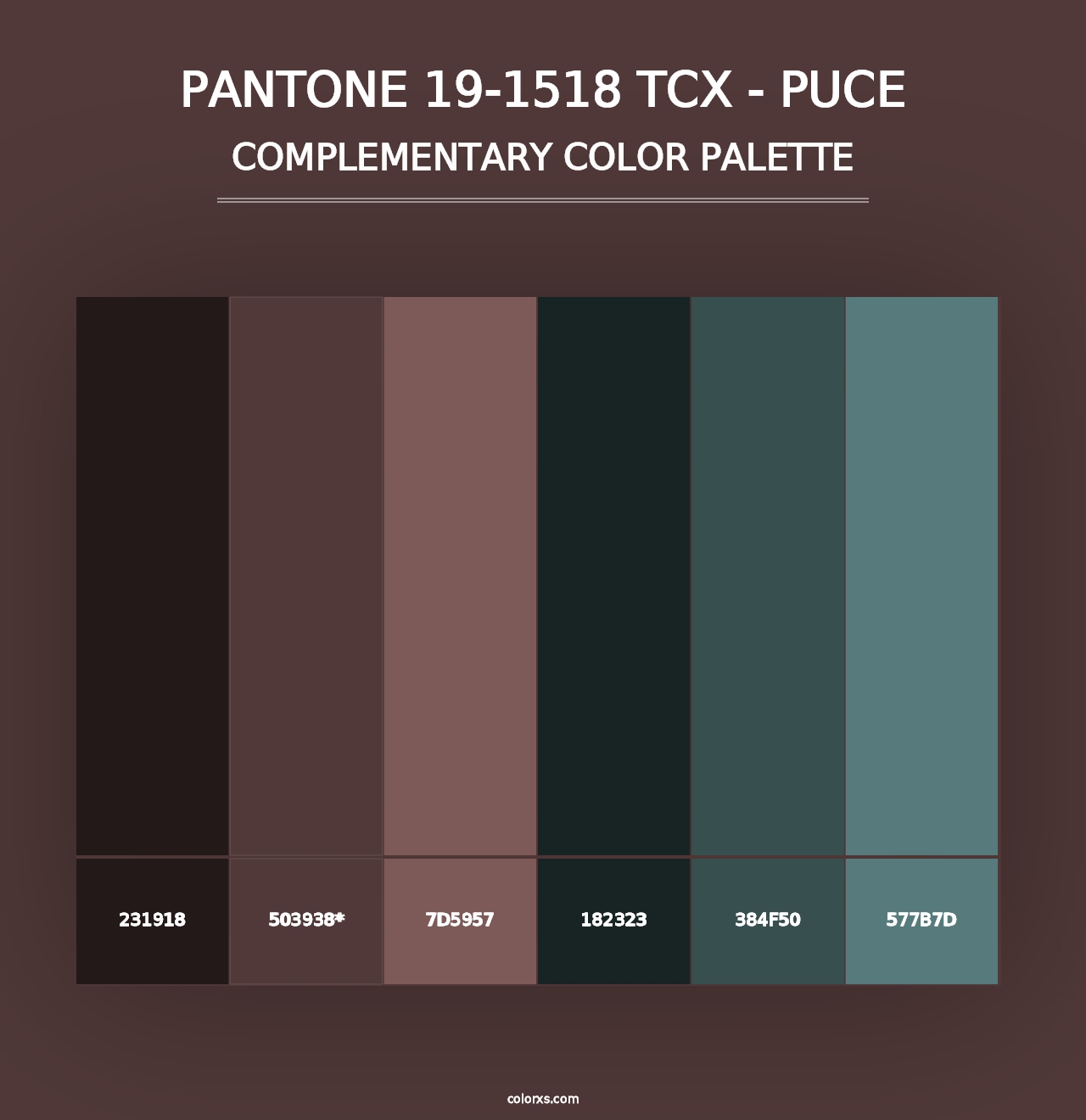 PANTONE 19-1518 TCX - Puce - Complementary Color Palette