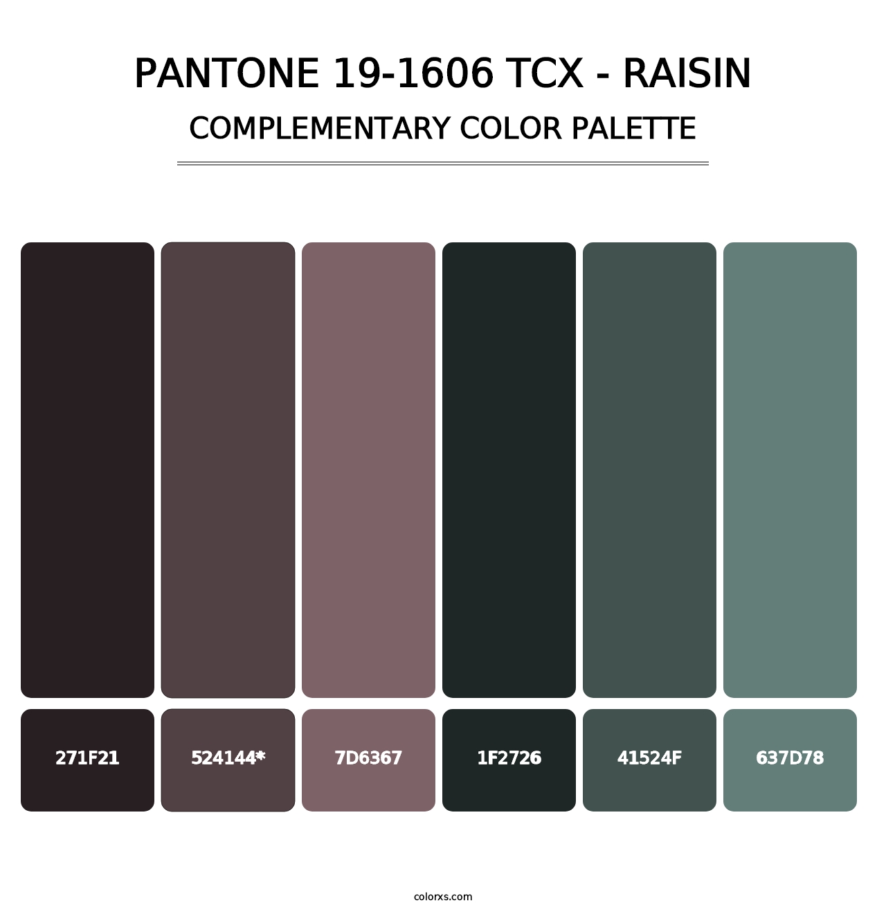 PANTONE 19-1606 TCX - Raisin - Complementary Color Palette