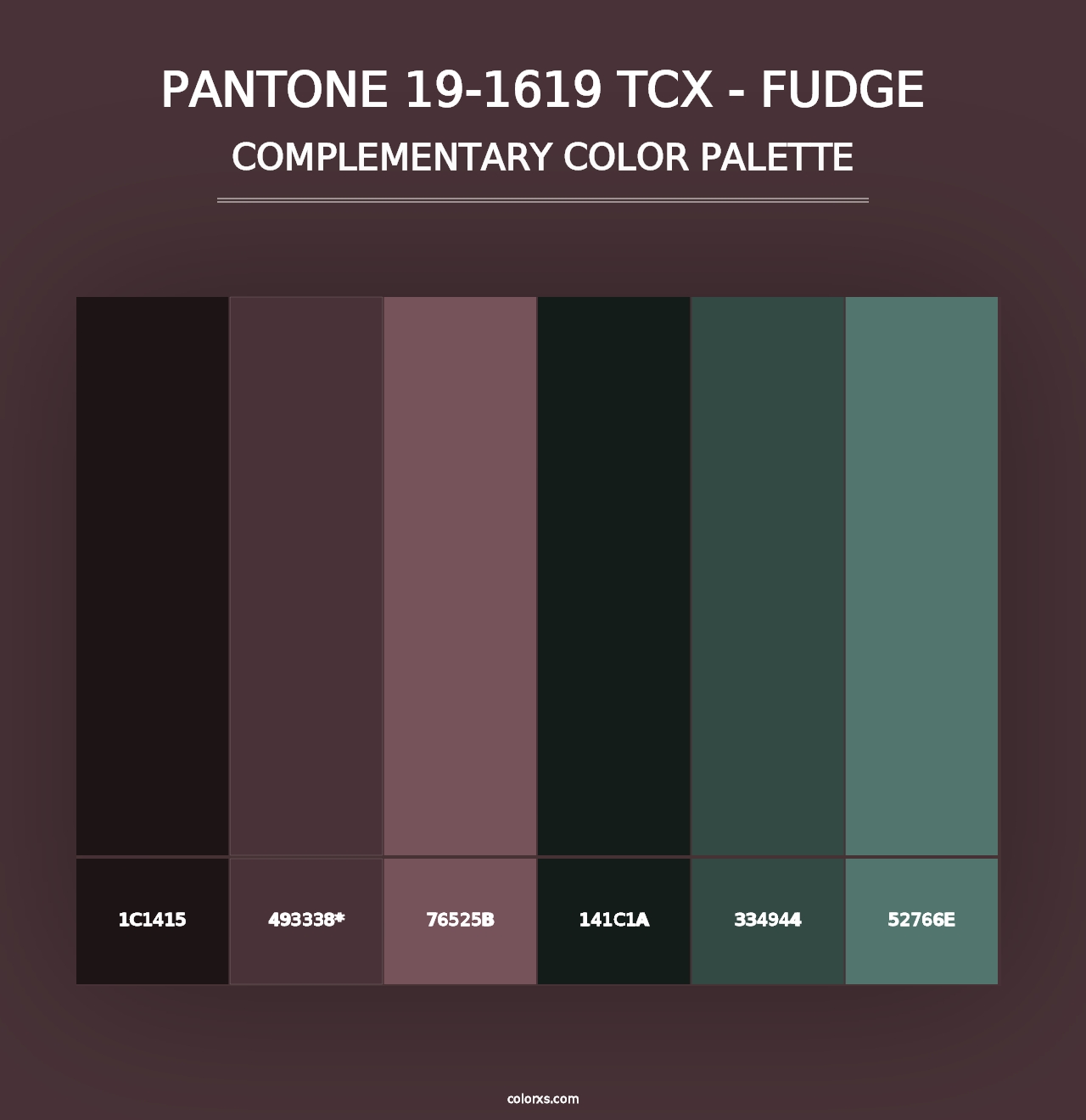 PANTONE 19-1619 TCX - Fudge - Complementary Color Palette