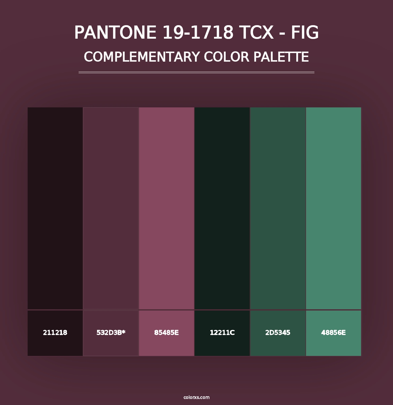 PANTONE 19-1718 TCX - Fig - Complementary Color Palette