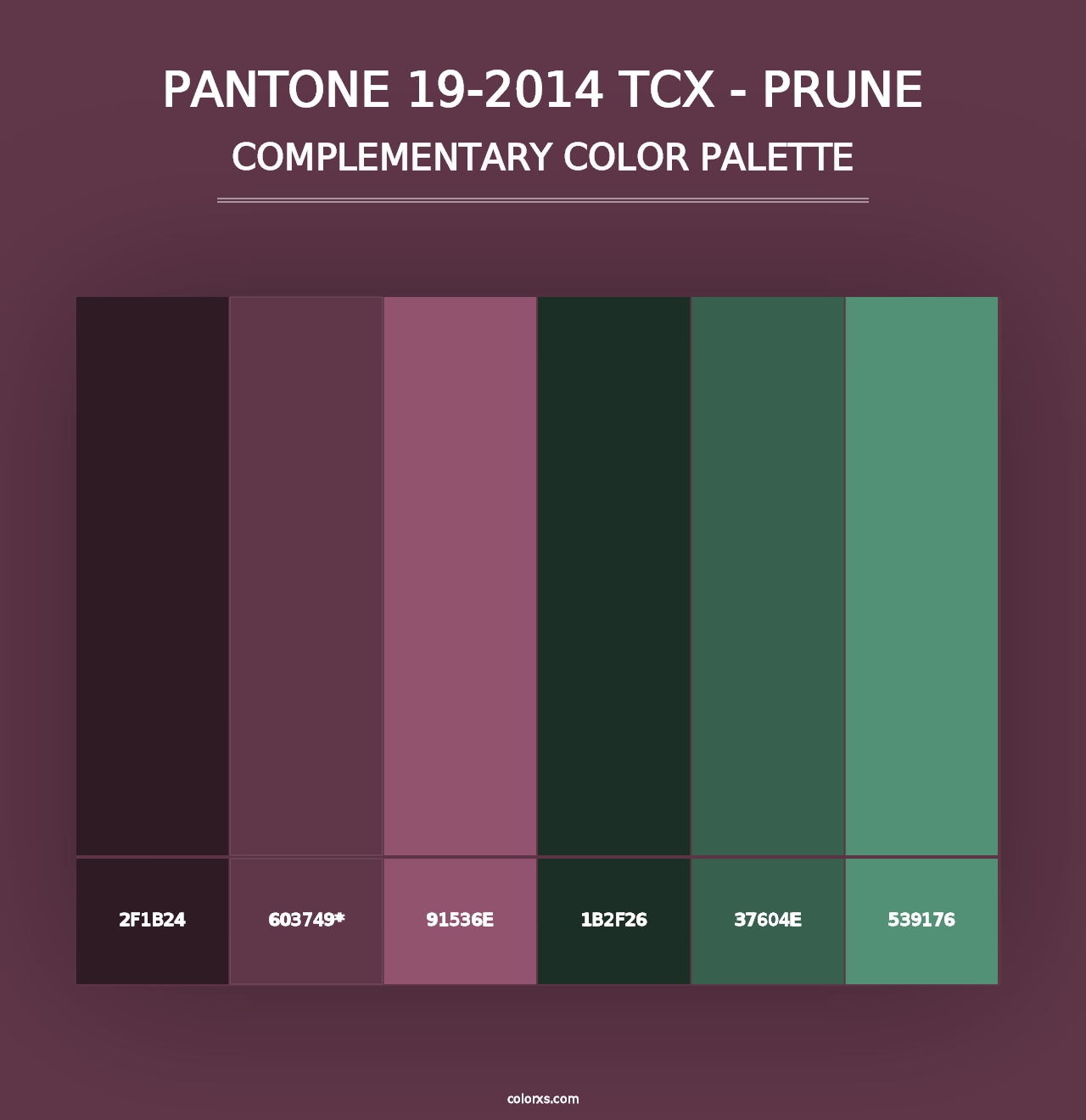 PANTONE 19-2014 TCX - Prune - Complementary Color Palette