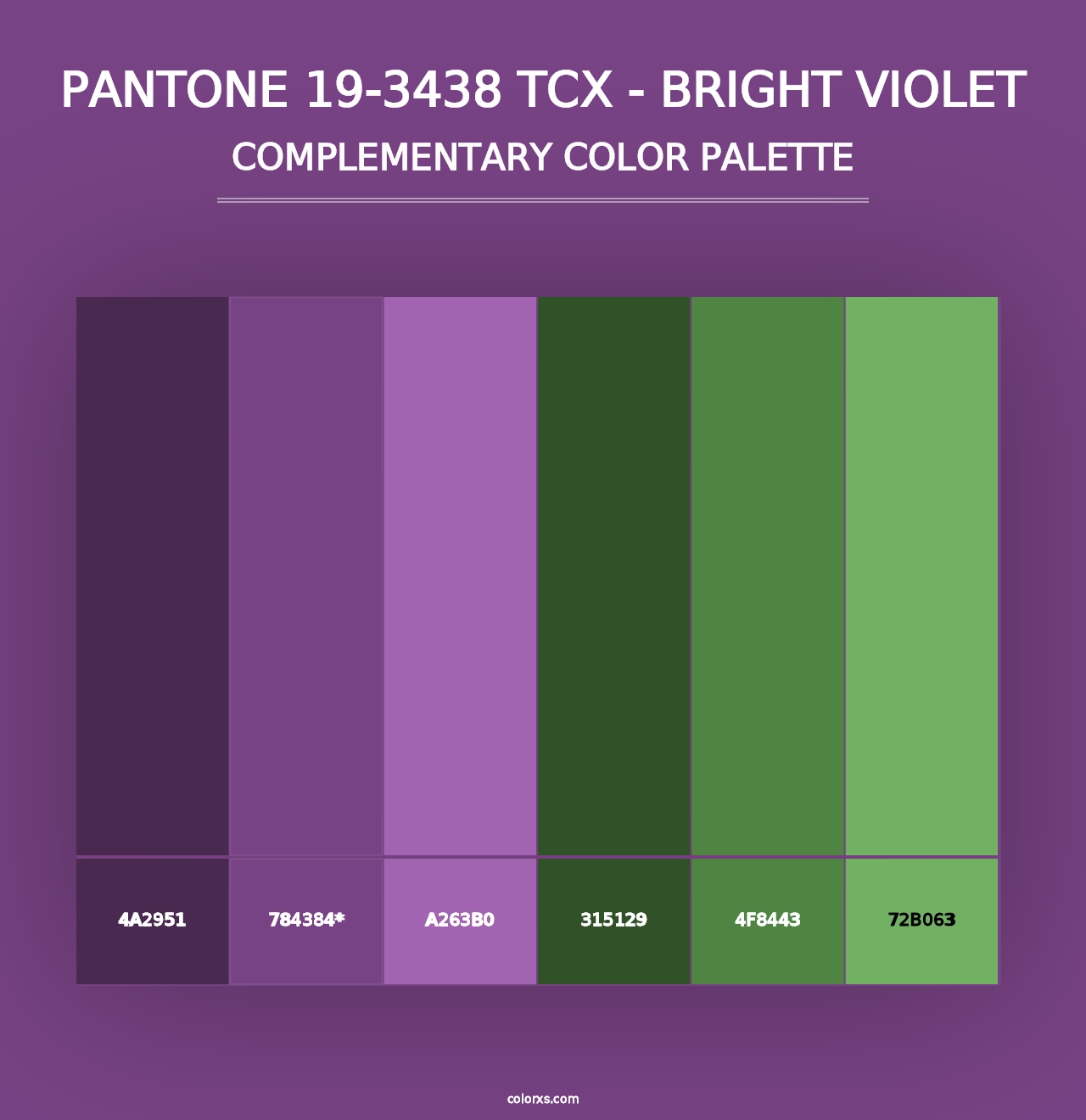 PANTONE 19-3438 TCX - Bright Violet - Complementary Color Palette