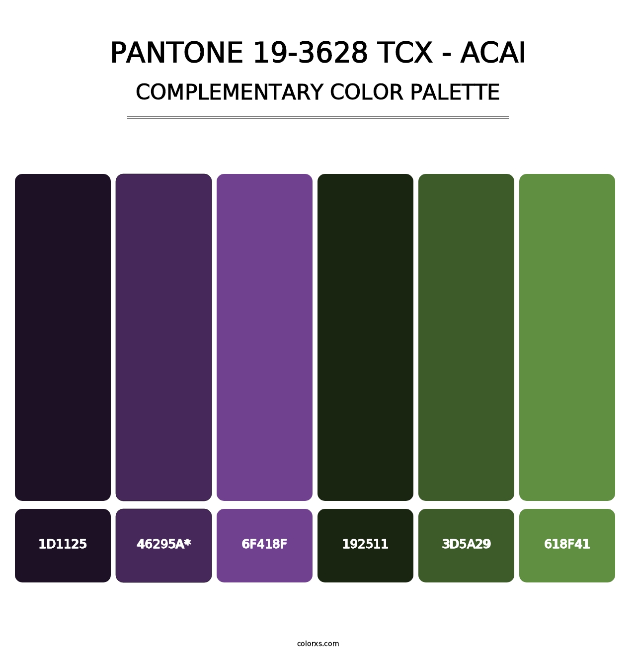 PANTONE 19-3628 TCX - Acai - Complementary Color Palette