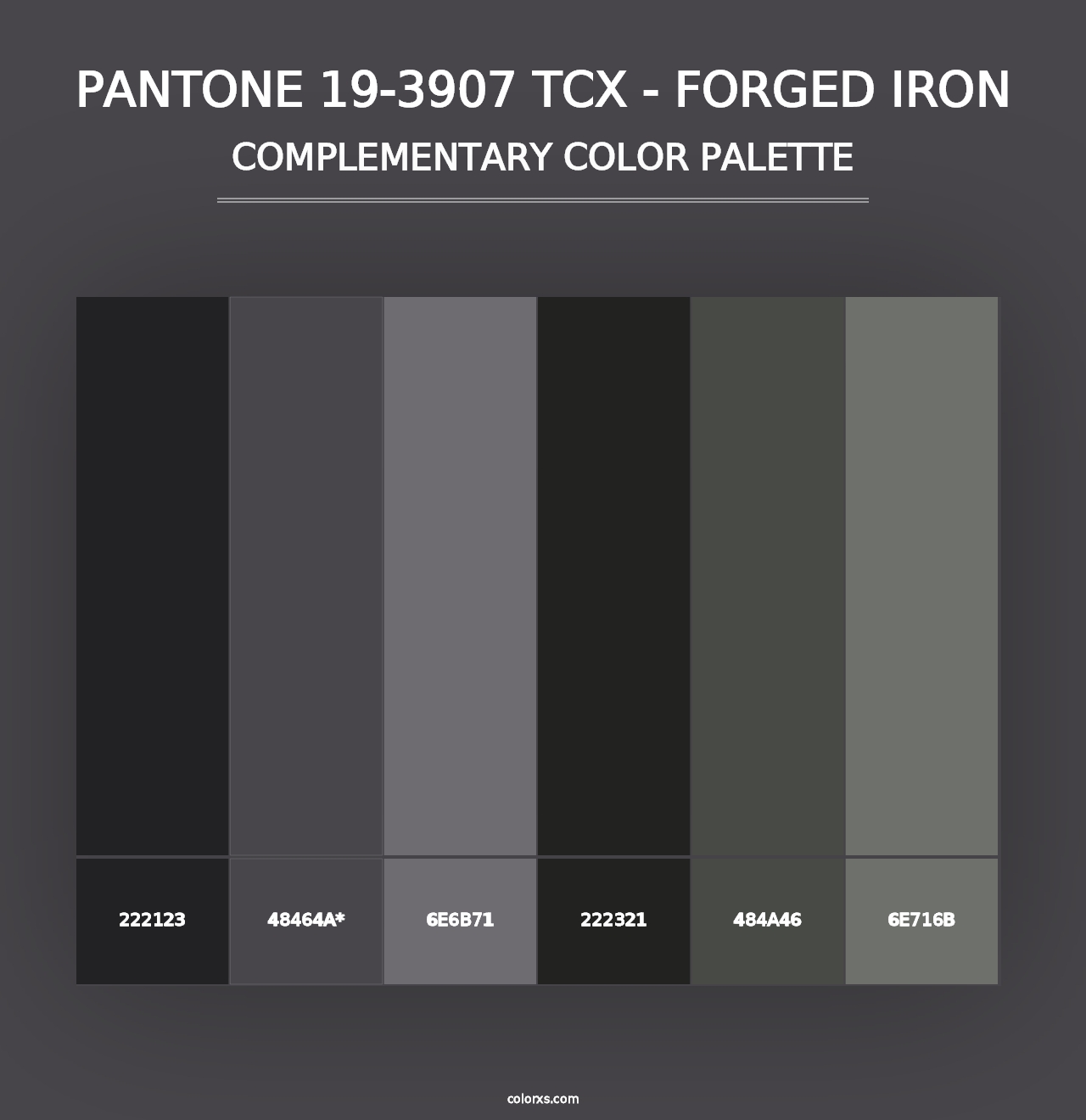 PANTONE 19-3907 TCX - Forged Iron - Complementary Color Palette