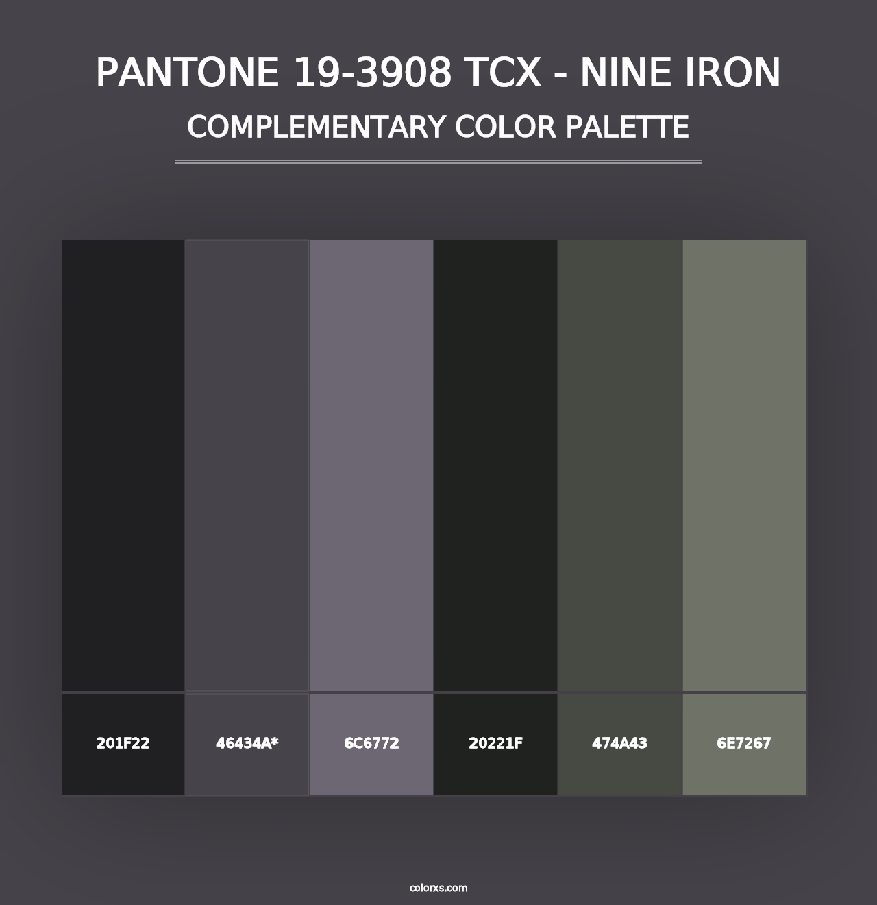 PANTONE 19-3908 TCX - Nine Iron - Complementary Color Palette