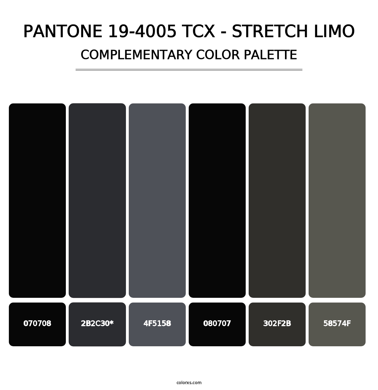 PANTONE 19-4005 TCX - Stretch Limo - Complementary Color Palette