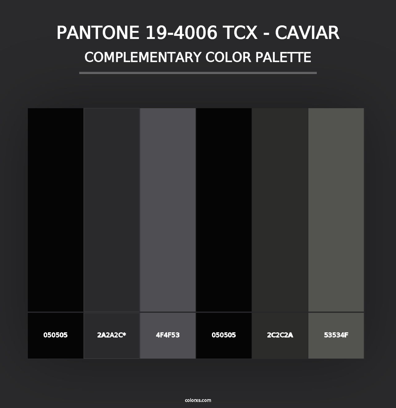 PANTONE 19-4006 TCX - Caviar - Complementary Color Palette