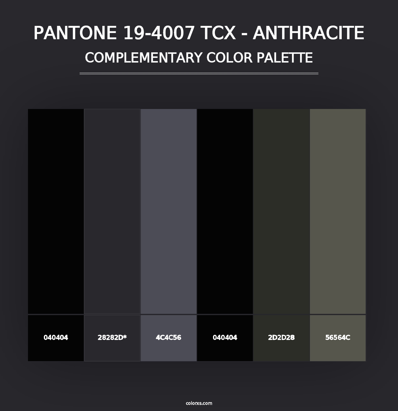 PANTONE 19-4007 TCX - Anthracite - Complementary Color Palette