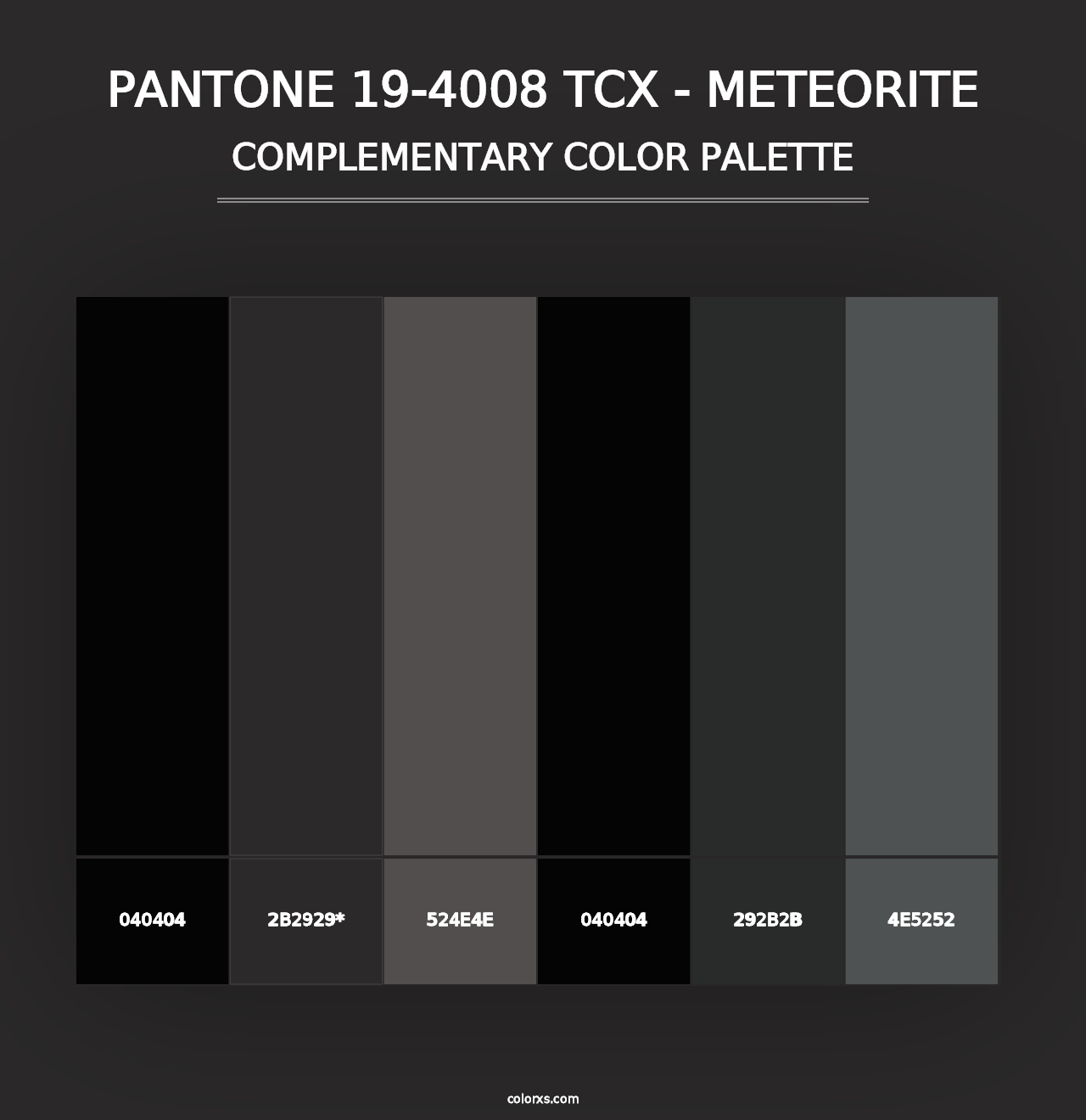 PANTONE 19-4008 TCX - Meteorite - Complementary Color Palette