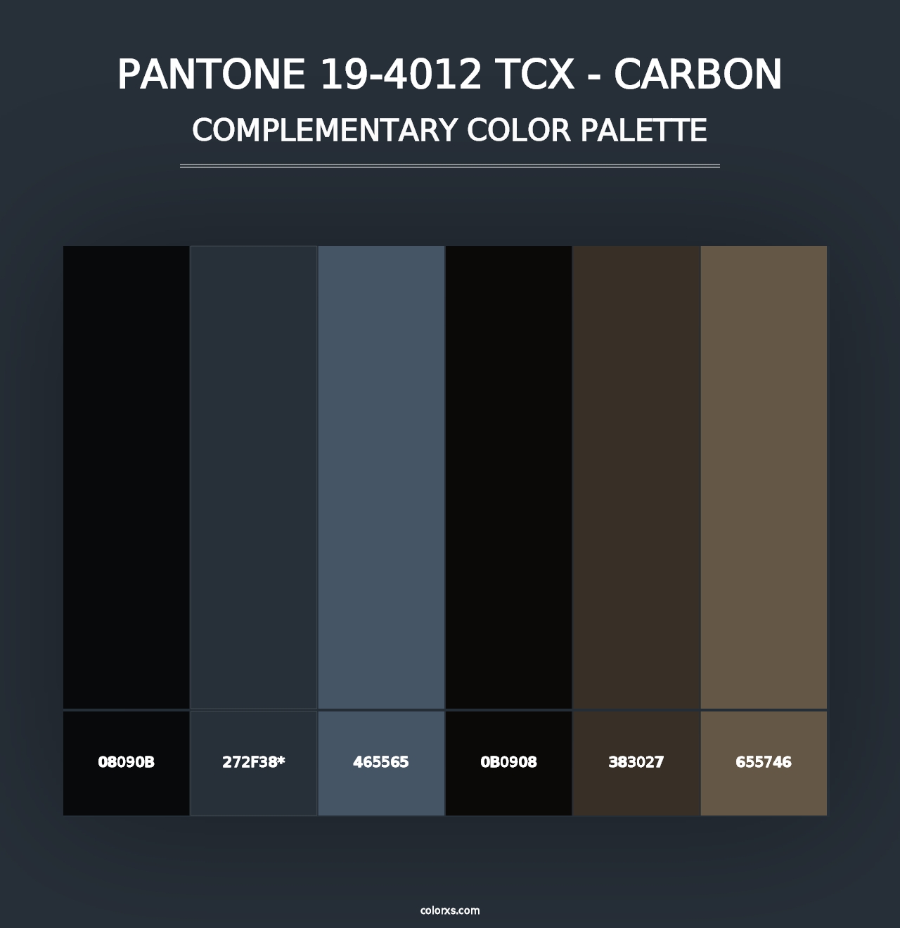 PANTONE 19-4012 TCX - Carbon - Complementary Color Palette