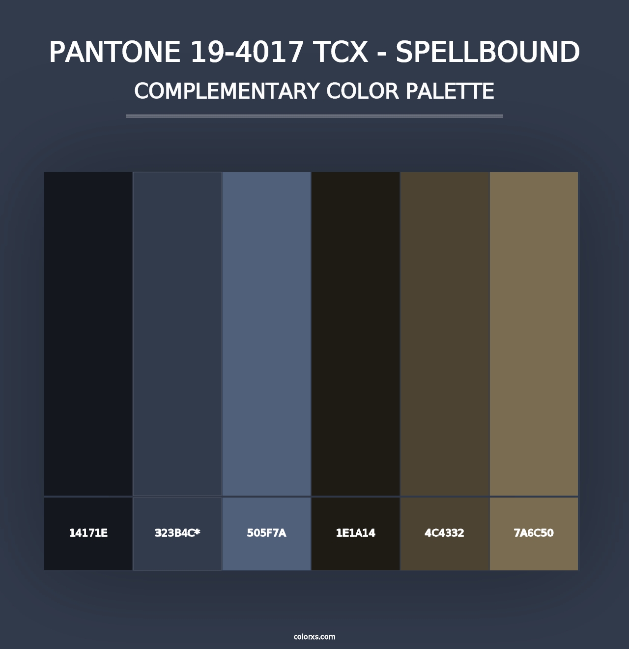 PANTONE 19-4017 TCX - Spellbound - Complementary Color Palette