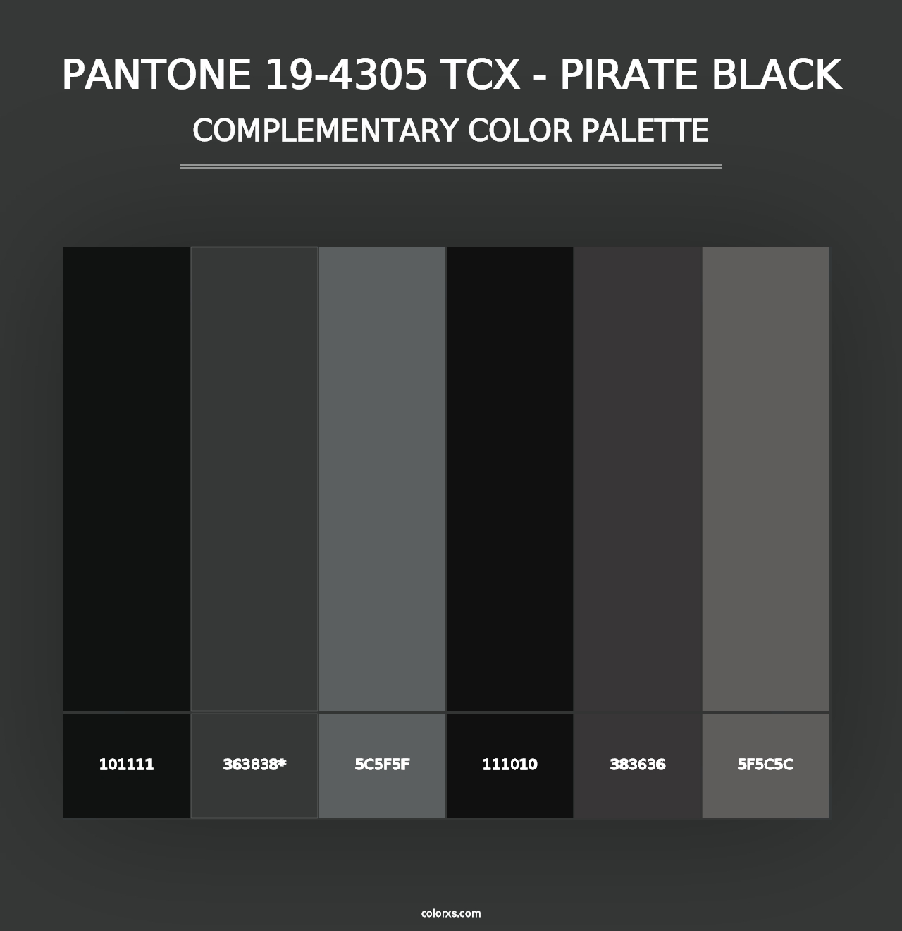 PANTONE 19-4305 TCX - Pirate Black - Complementary Color Palette