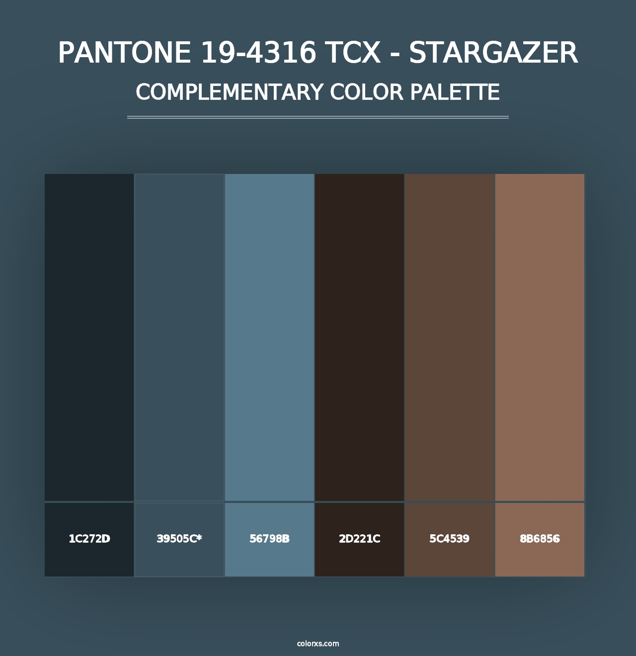 PANTONE 19-4316 TCX - Stargazer - Complementary Color Palette