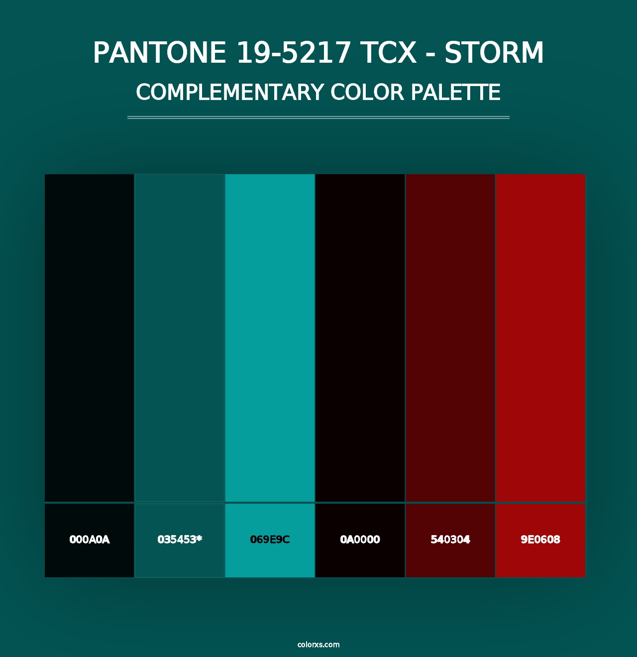 PANTONE 19-5217 TCX - Storm - Complementary Color Palette