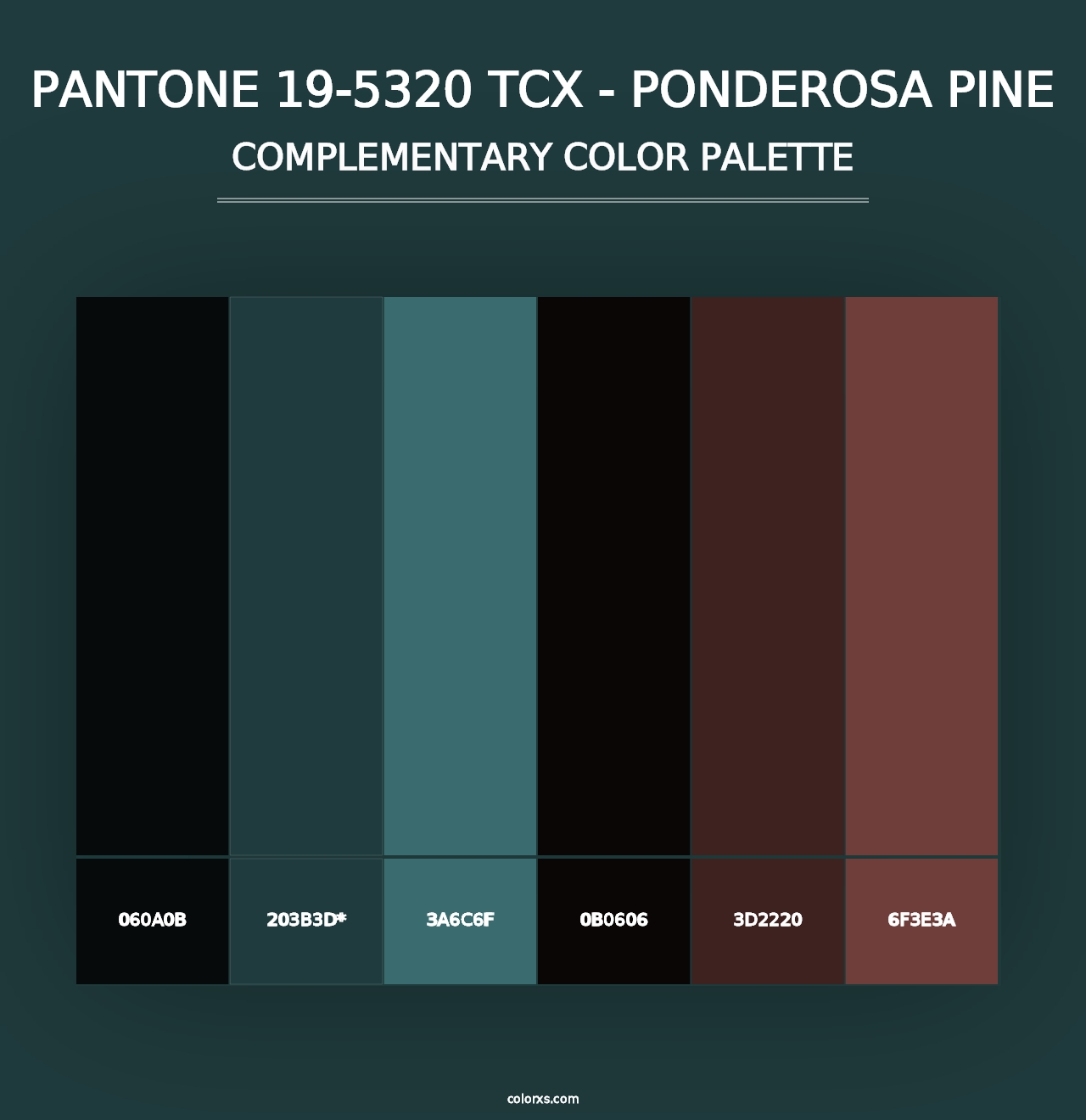 PANTONE 19-5320 TCX - Ponderosa Pine - Complementary Color Palette