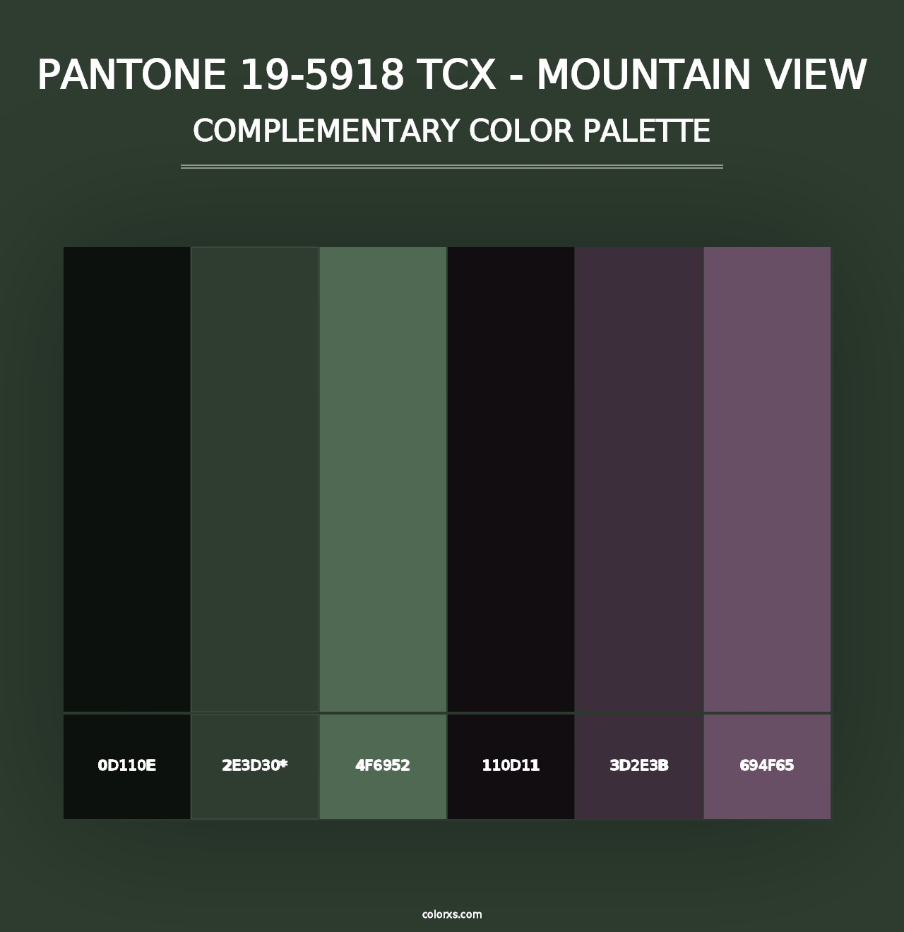 PANTONE 19-5918 TCX - Mountain View - Complementary Color Palette