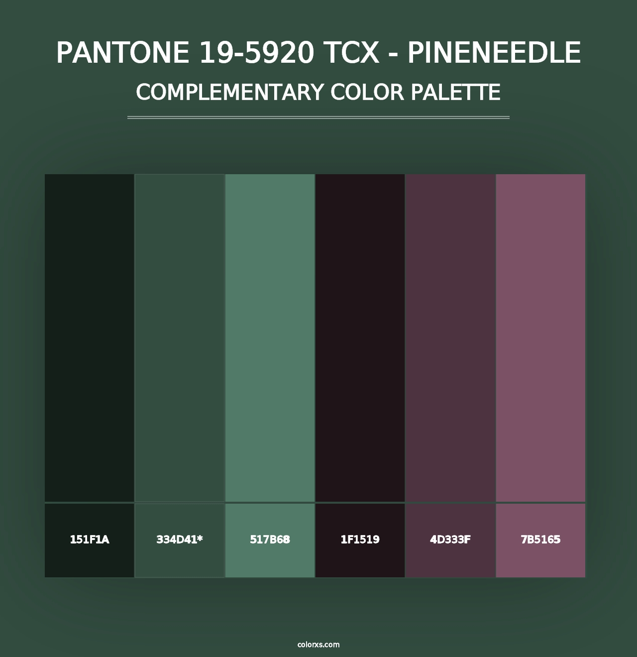 PANTONE 19-5920 TCX - Pineneedle - Complementary Color Palette