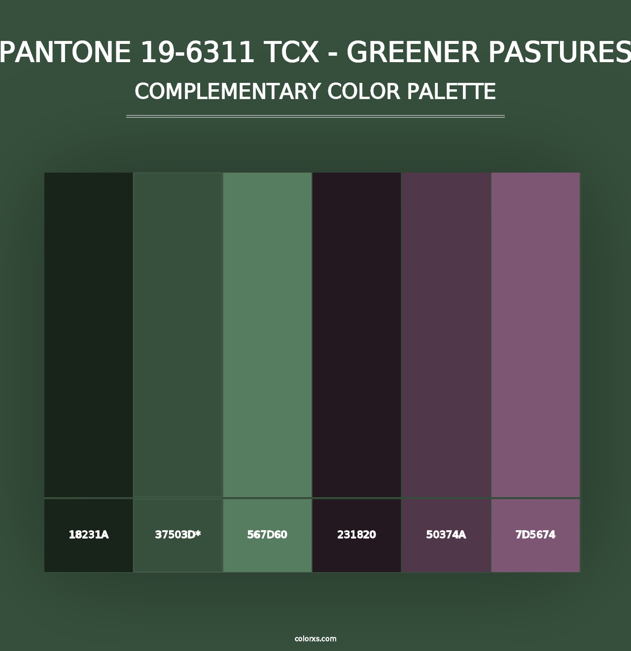 PANTONE 19-6311 TCX - Greener Pastures - Complementary Color Palette