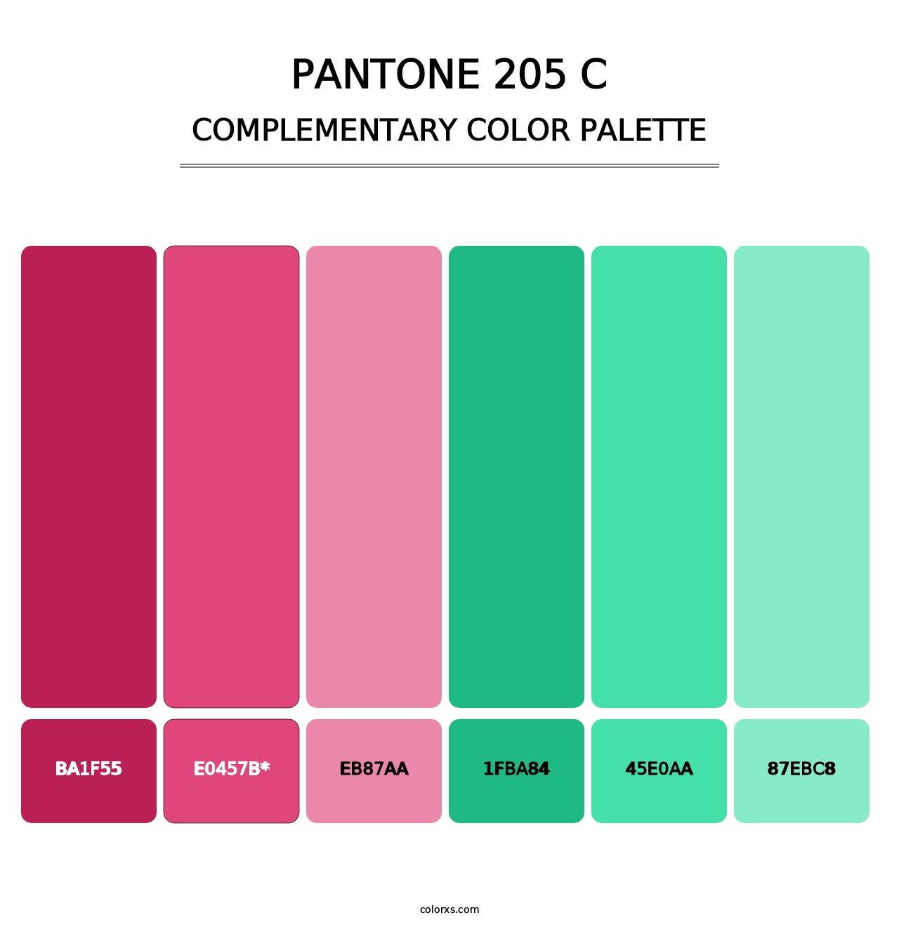 PANTONE 205 C - Complementary Color Palette